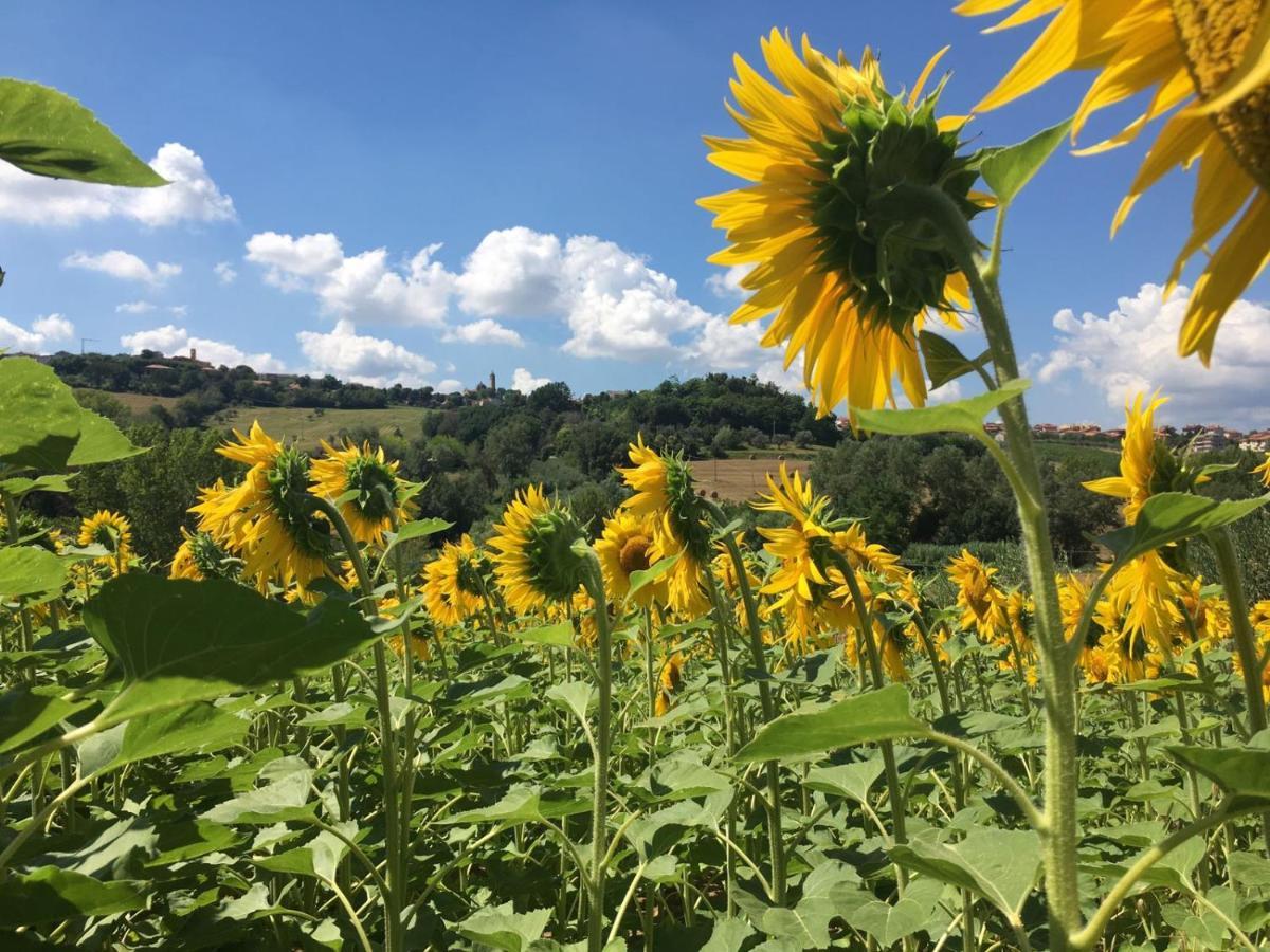Il Giardino Tavullia