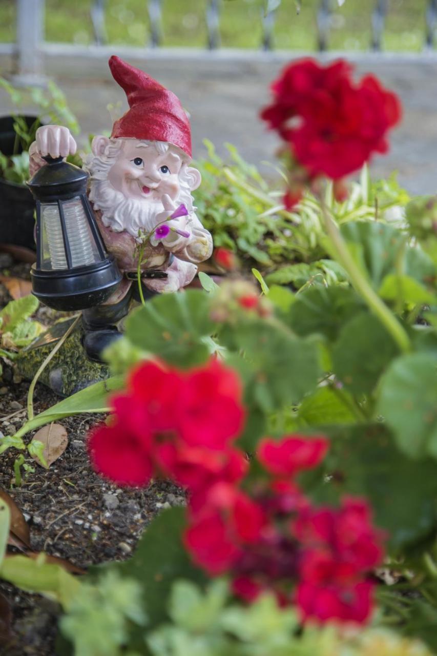 Bed & Breakfast Il Giardino